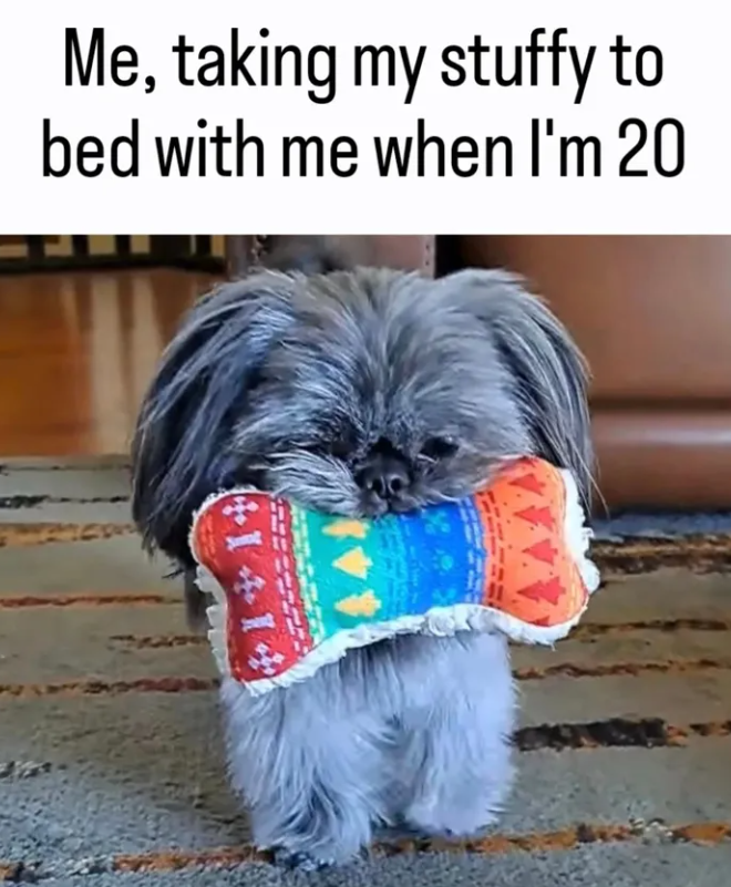 Me, taking my stuffy to bed with me when I'm 20 +14141