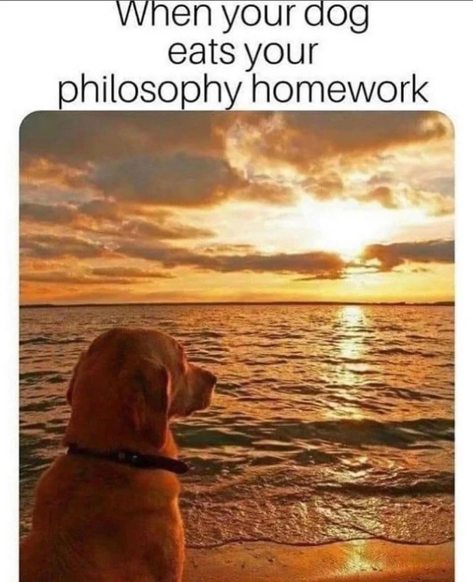 When your dog eats your philosophy homework