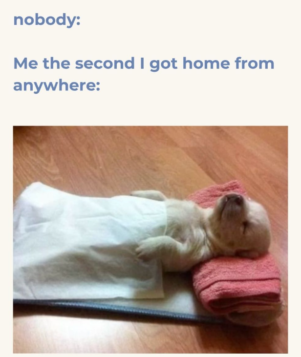 nobody: Me the second I got home from anywhere: