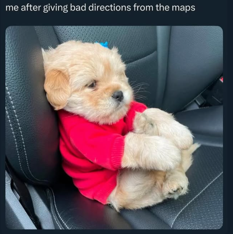 me after giving bad directions from the maps