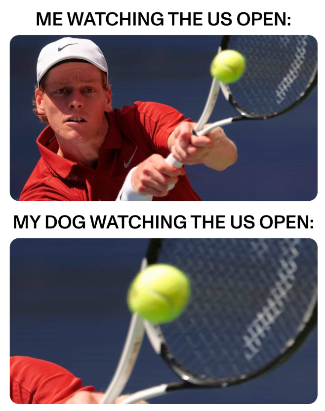 ME WATCHING THE US OPEN: MY DOG WATCHING THE US OPEN: