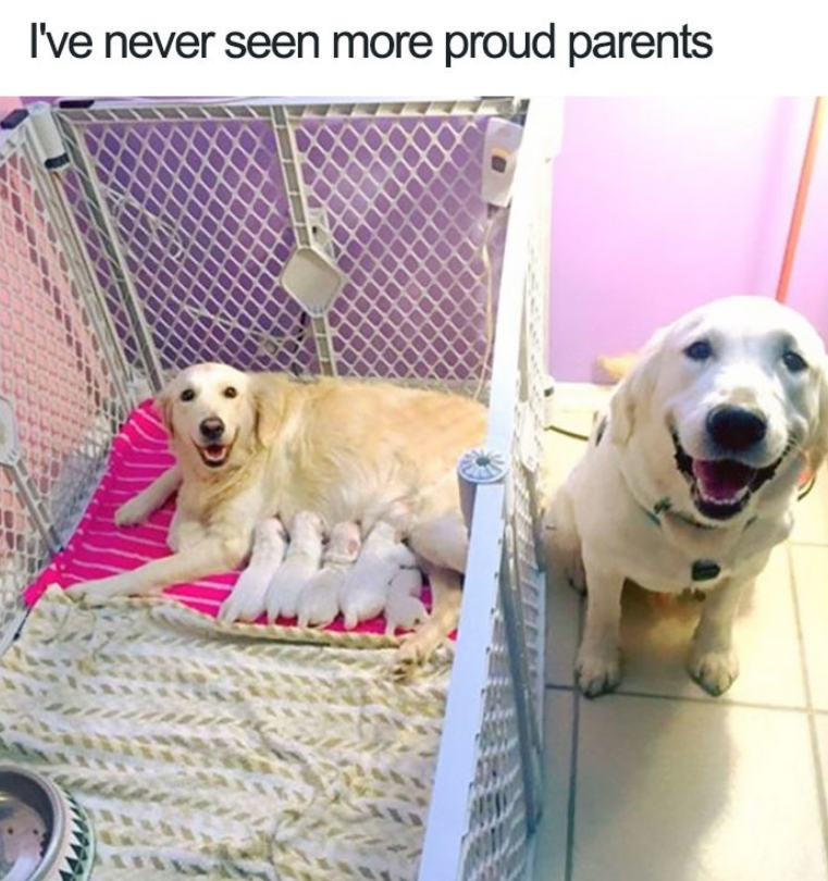 I've never seen more proud parents