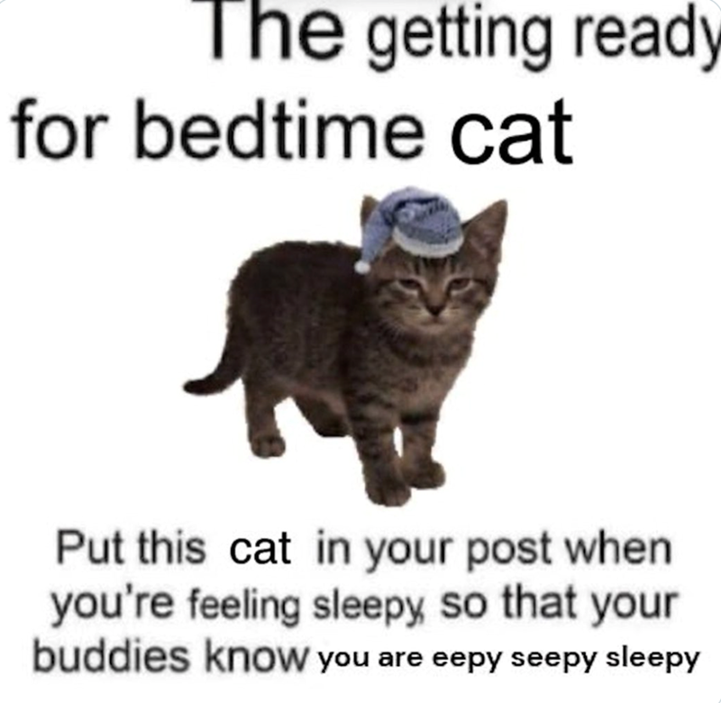 The getting ready for bedtime cat Put this cat in your post when you're feeling sleepy so that your buddies know you are eepy seepy sleepy