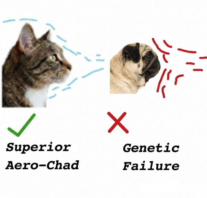 ]} Superior Genetic Aero-Chad Failure