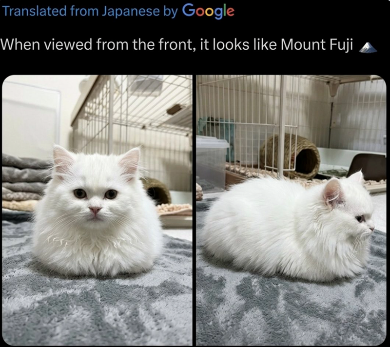 Translated from Japanese by Google When viewed from the front, it looks like Mount Fuji