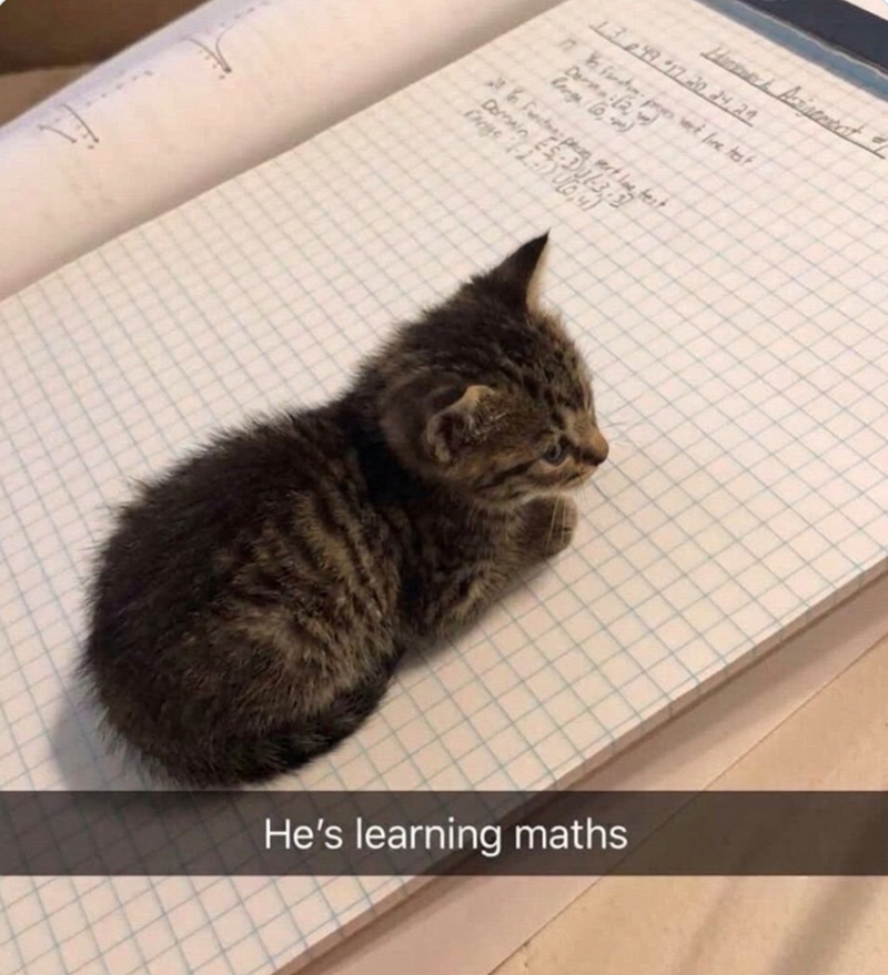 13.04917.20.24.24 Dark line test Rage (0-0) Domain Es-Du-3 Fert test He's learning maths