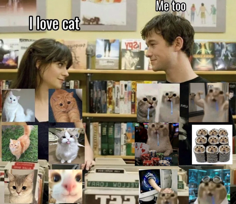 CCL WAROJ WOJJEY EVER BYAD TOME I love cat *** уда Me too