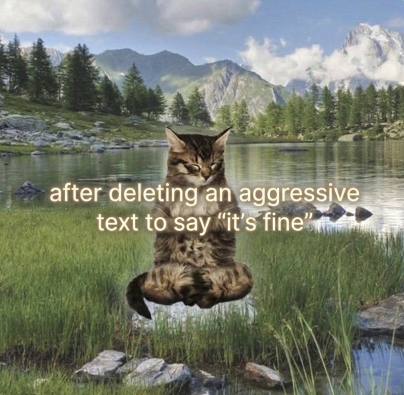 after deleting an aggressive text to say "it's fine"