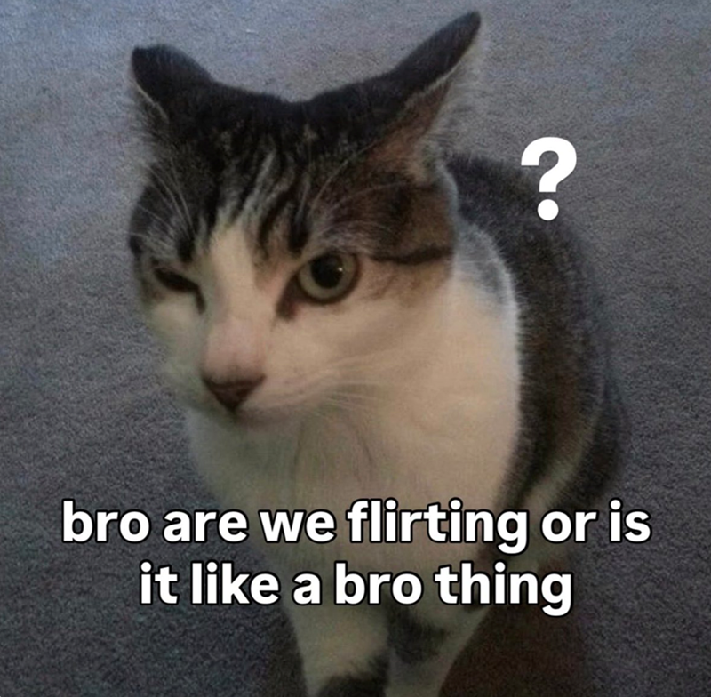 ? bro are we flirting or is it like a bro thing