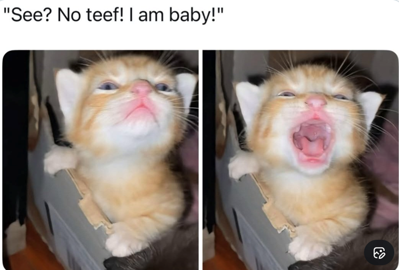 "See? No teef! I am baby!" 3