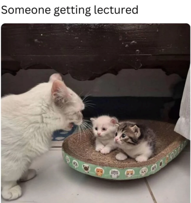 Someone getting lectured