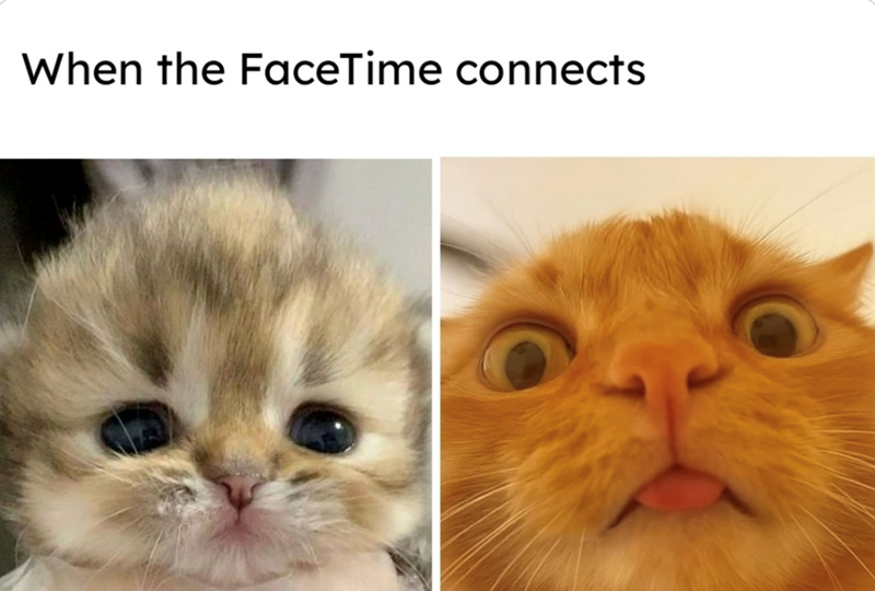 When the FaceTime connects