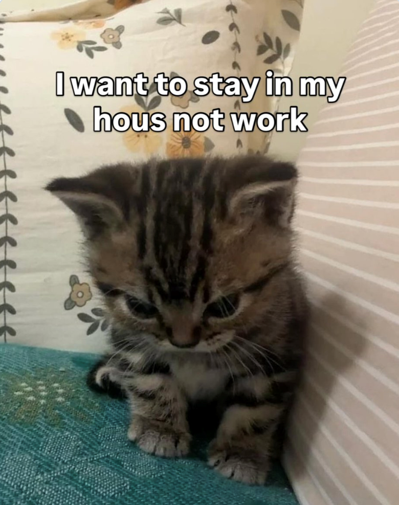 I want to stay in my hous not work