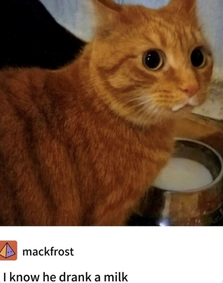 mackfrost I know he drank a milk