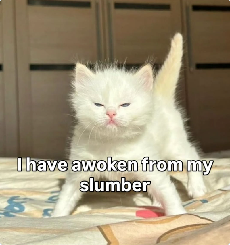 I have awoken from my 8 slumber