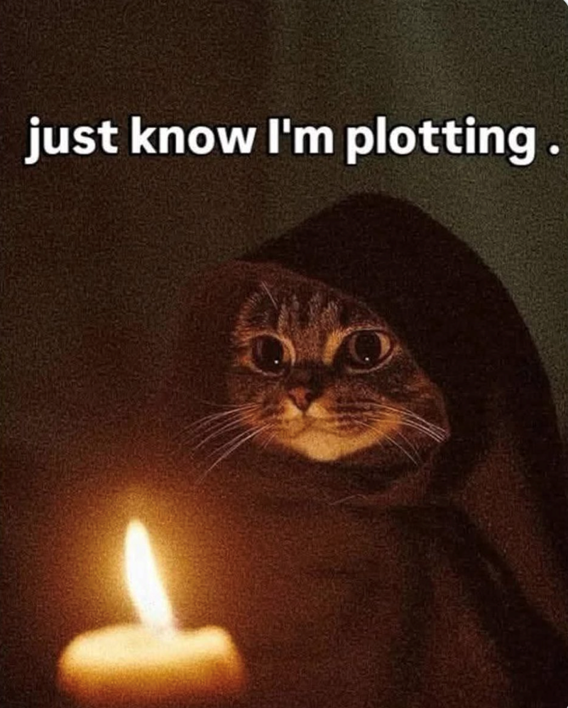 just know I'm plotting.