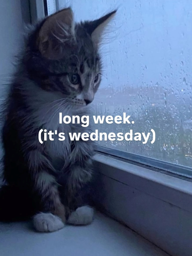 long week. (it's wednesday)