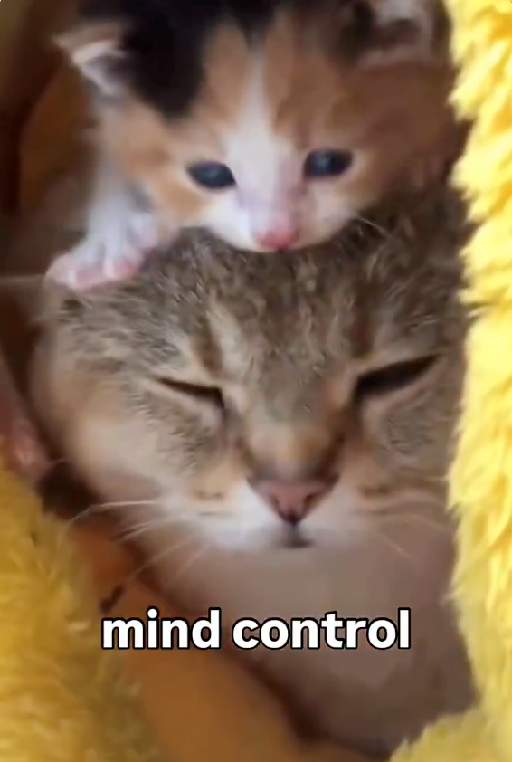 mind control
