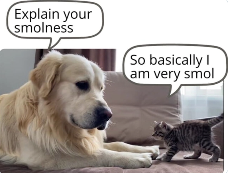 Explain your smolness So basically I am very smol