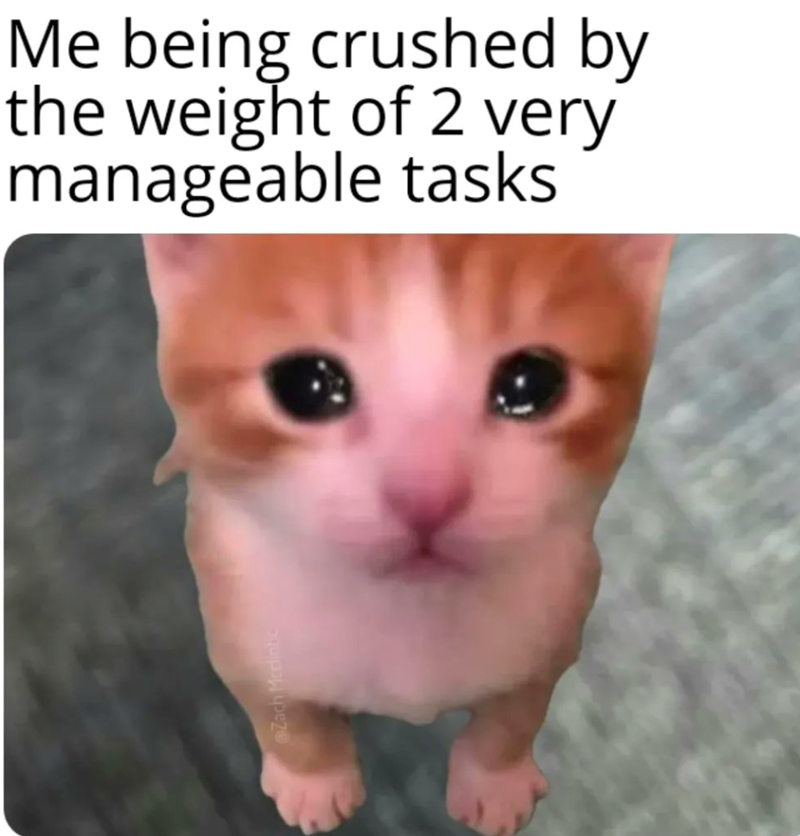 @Zach Mcclintic Me being crushed by the weight of 2 very manageable tasks