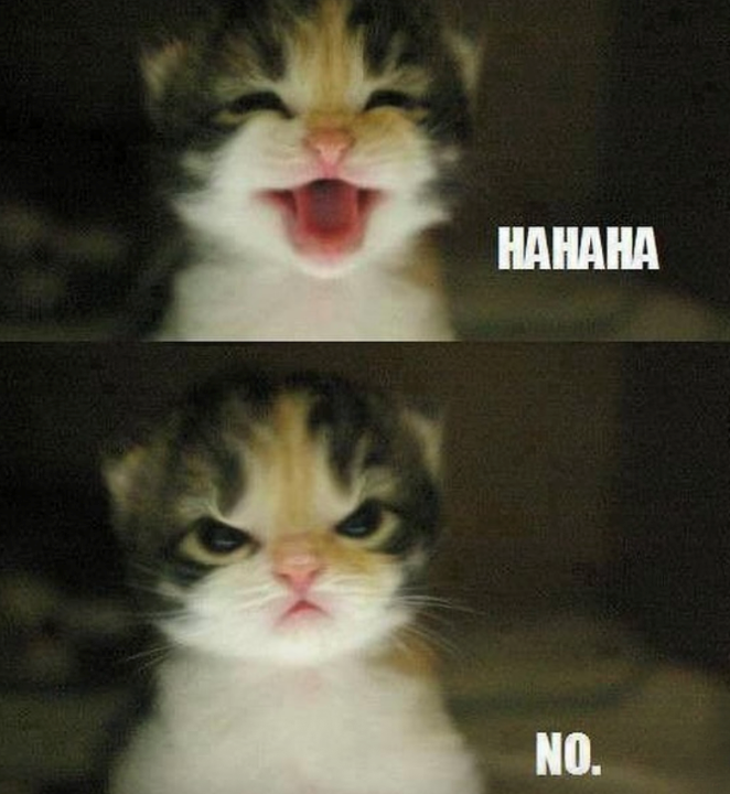 HAHAHA NO.