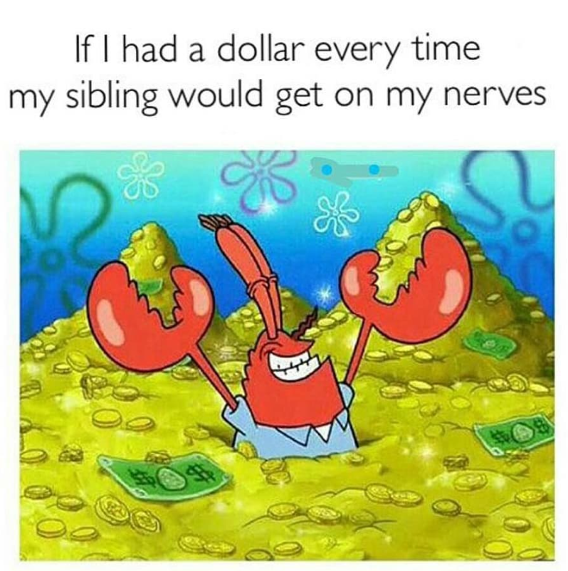 If I had a dollar every time my sibling would get on my nerves