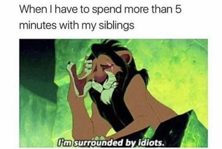 When I have to spend more than 5 minutes with my siblings I'm surrounded by idiots.
