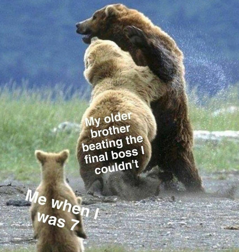 My older brother beating the final boss I couldn't Me when I was 7
