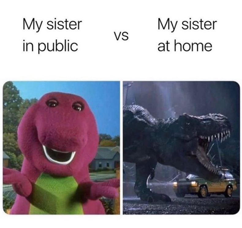 My sister in public VS My sister at home 104