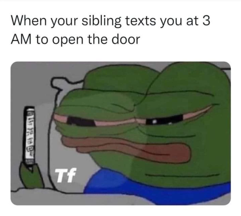When your sibling texts you at 3 AM to open the door Tf