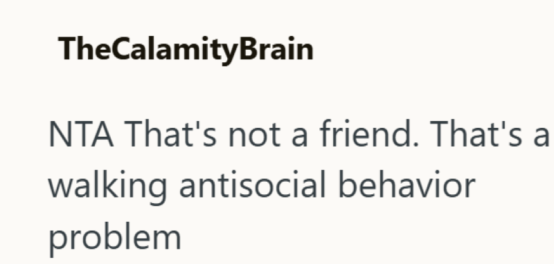 TheCalamityBrain NTA That's not a friend. That's a walking antisocial behavior problem
