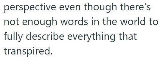 perspective even though there's not enough words in the world to fully describe everything that transpired.