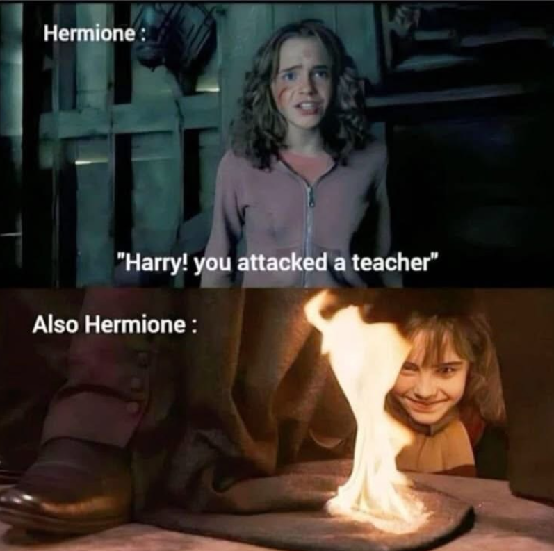Hermione: "Harry! you attacked a teacher" Also Hermione: