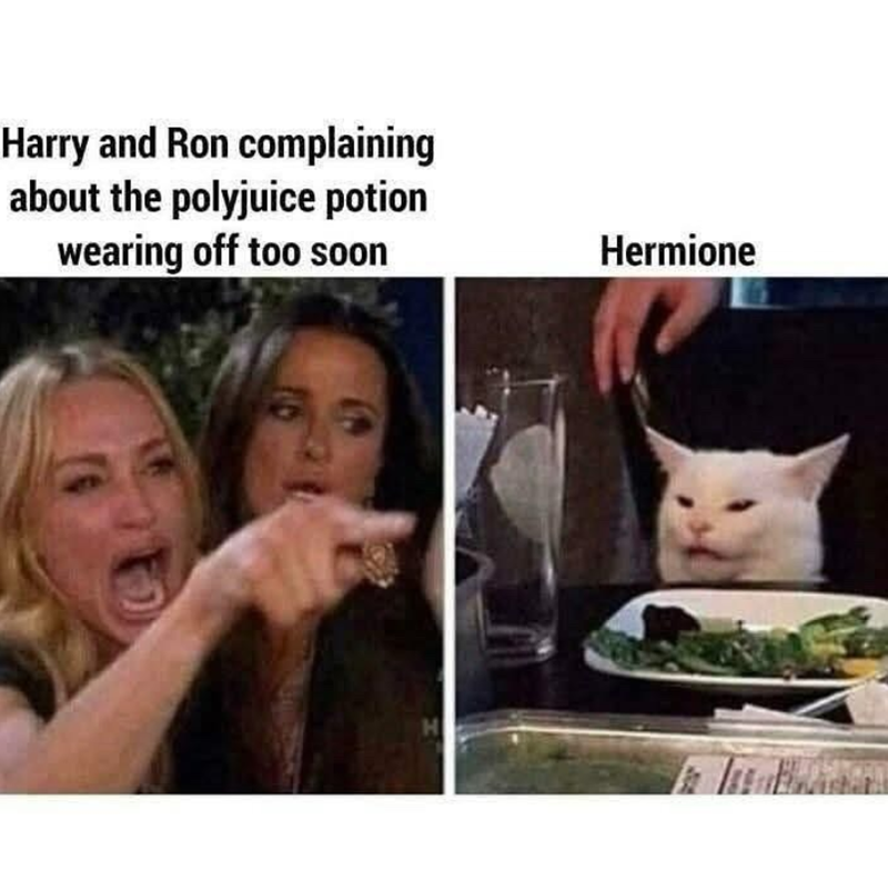 Harry and Ron complaining about the polyjuice potion wearing off too soon H Hermione