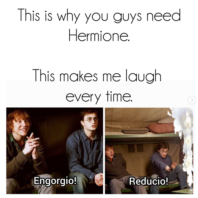 This is why you guys need Hermione. This makes me laugh every time. Engorgio! Reducio!