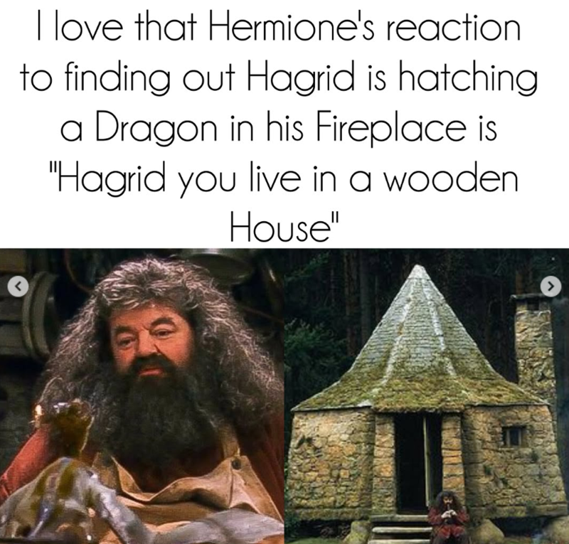 I love that Hermione's reaction to finding out Hagrid is hatching. a Dragon in his Fireplace is "Hagrid you live in a wooden House" <
