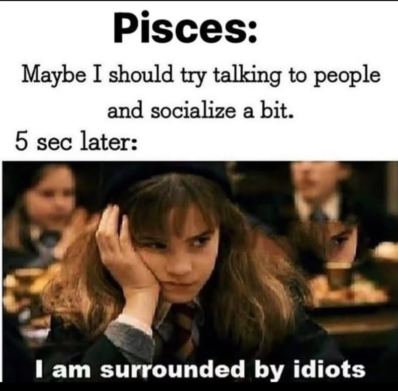 Pisces: Maybe I should try talking to people and socialize a bit. 5 sec later: I am surrounded by idiots