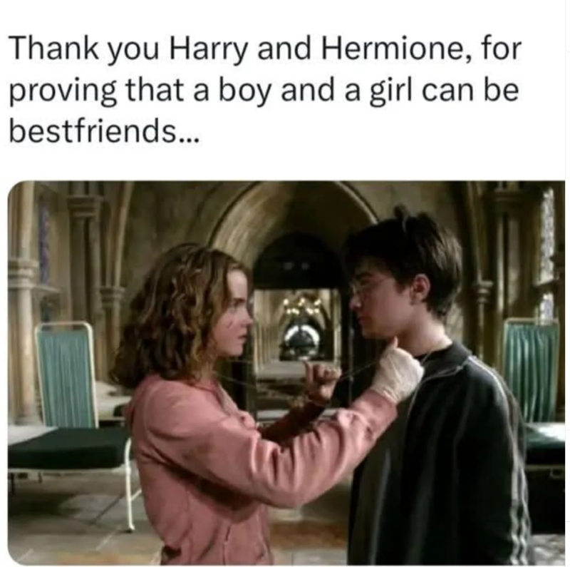 Thank you Harry and Hermione, for proving that a boy and a girl can be bestfriends...