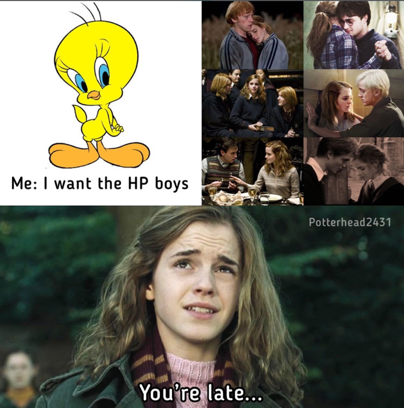 Me: I want the HP boys You're late... Potterhead2431