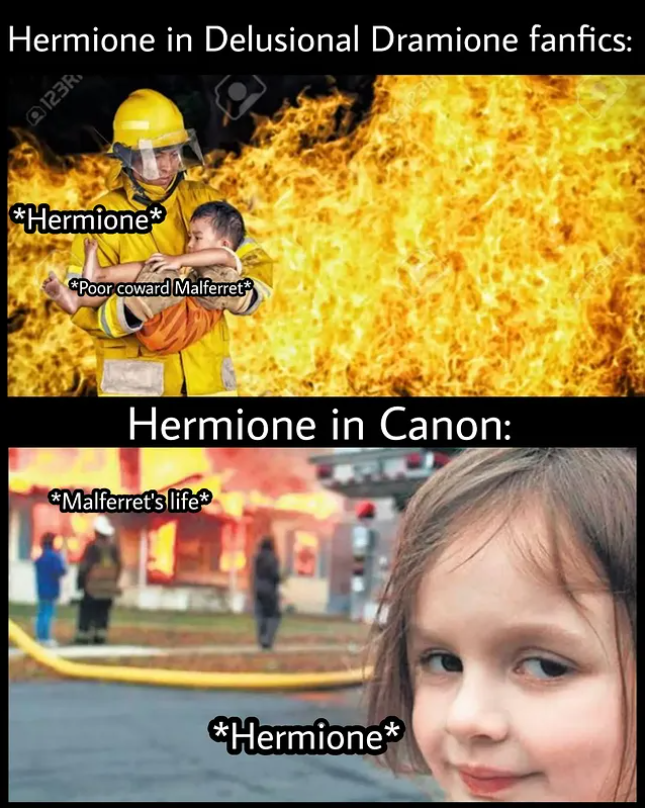 Hermione in Delusional Dramione fanfics: @123k. *Hermione* *Poor coward Malferret Hermione in Canon: *Malferret's life* *Hermione*