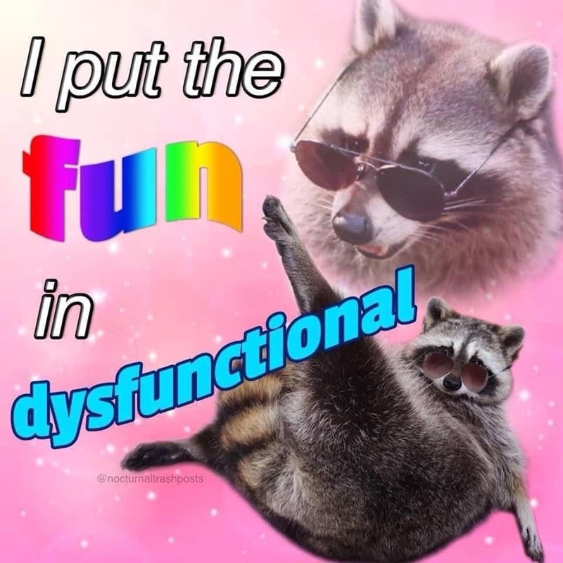 I put the fun in dysfunctional @nocturnaltrashposts