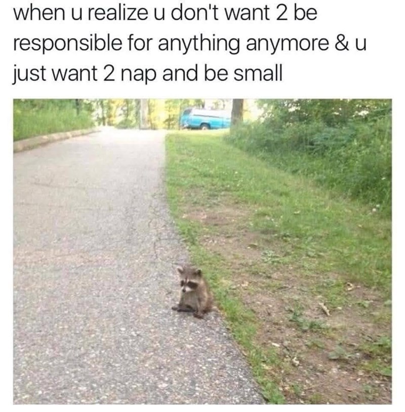 when u realize u don't want 2 be responsible for anything anymore & u just want 2 nap and be small