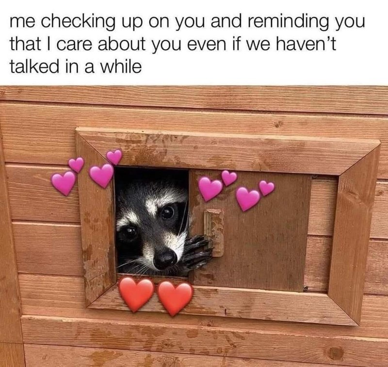me checking up on you and reminding you that I care about you even if we haven't talked in a while