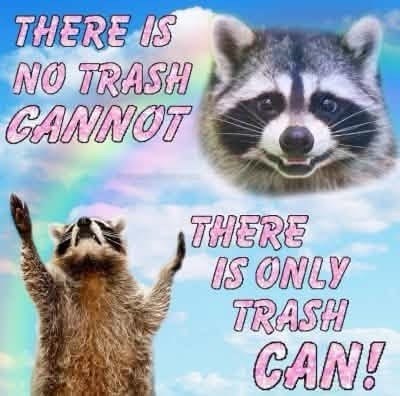 THERE IS NO TRASH CANNOT THERE IS ONLY TRASH CAN!