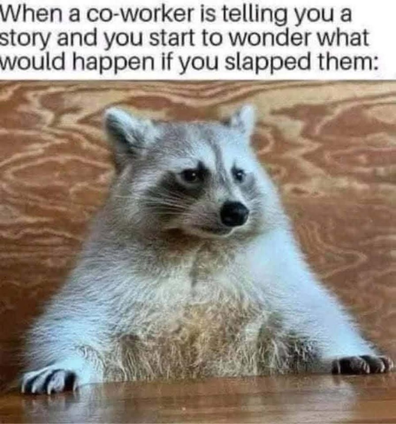 When a co-worker is telling you a story and you start to wonder what would happen if you slapped them: