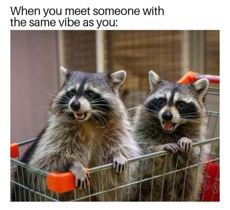 When you meet someone with the same vibe as you: