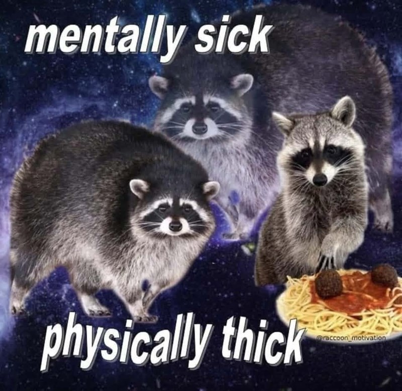 mentally sick physically thick @raccoon motivation