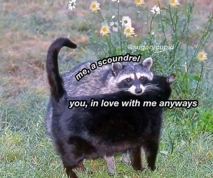 @sugarycupid me, a scoundrel you, in love with me anyways