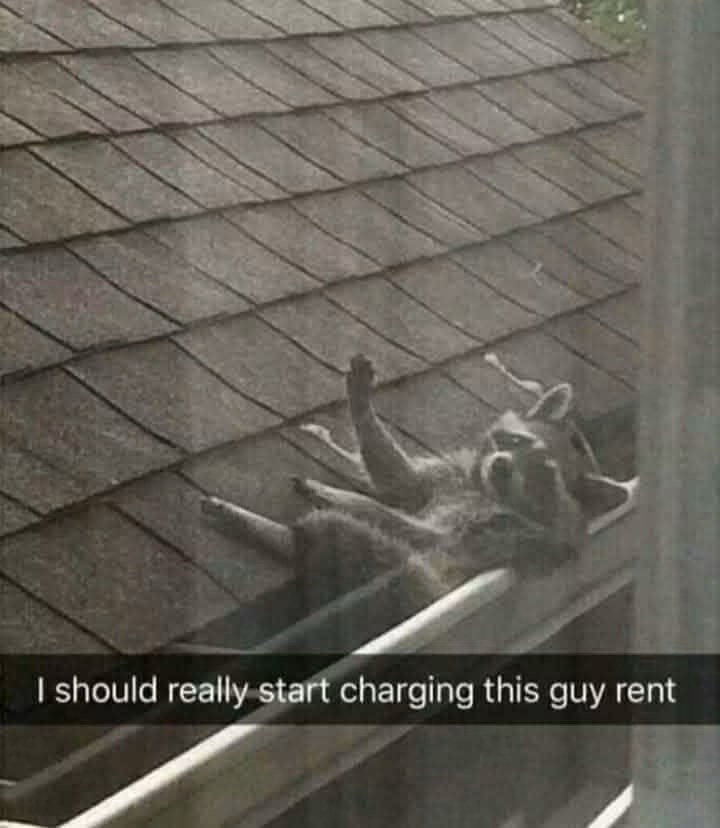 I should really start charging this guy rent