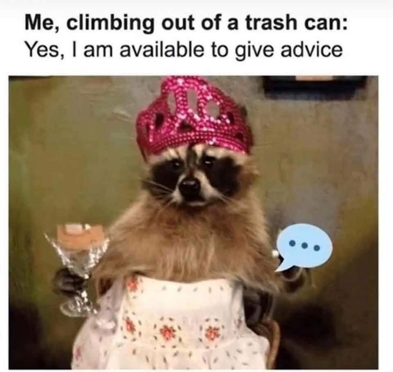 Me, climbing out of a trash can: Yes, I am available to give advice